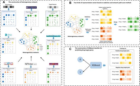 Frontiers Lm Dti A Tool Of Predicting Drug Target Interactions Using