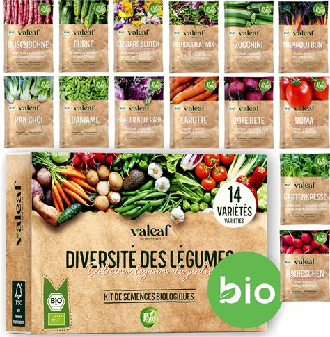 Valeaf Kit De Graines De L Gumes Assortiment De Semences Pr T