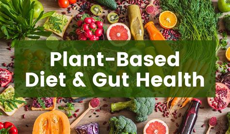 5 Benefits Of A Plant Based Diet Aerns