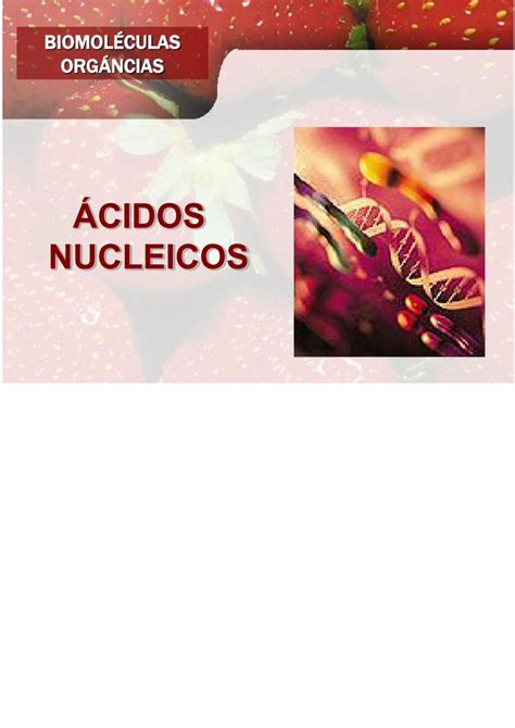 Pdf Acidos Nucleicos Cepre Dokumen Tips