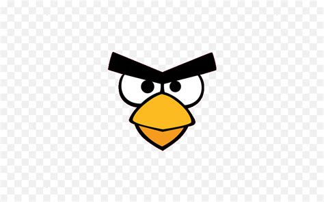 bird eyes clipart