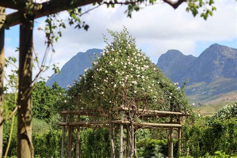 Beautiful Babylonstoren Discover Paarl