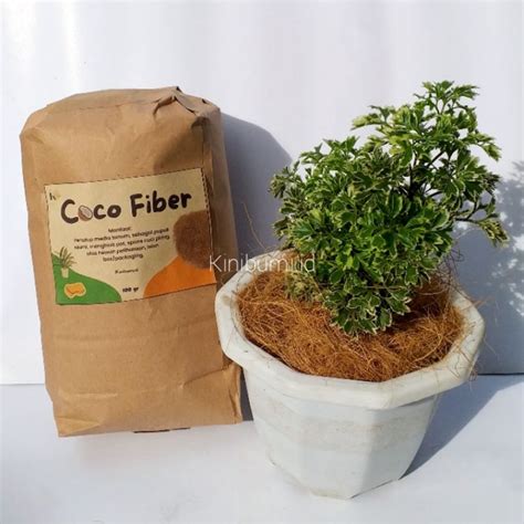 Jual Coco Fiber Sabut Serabut Kelapa Media Tanam Sabut Cuci Piring