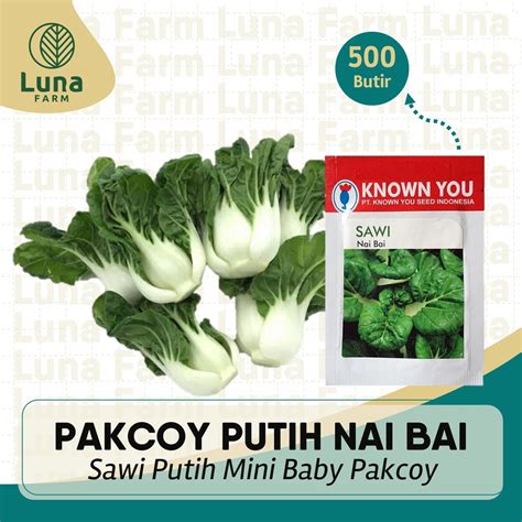 Jual Benih Sawi Nai Bai Kemasan Urban PT Known You Seed Indonesia