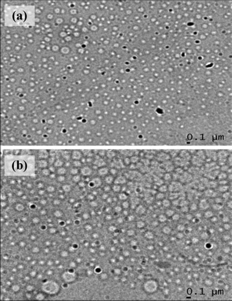 Tem Images Of Microbially And Chemically Synthesized Silver