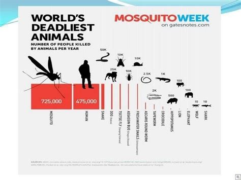 Worlds Deadliest Animals Deadly Creatures Deadly Animals Dangerous