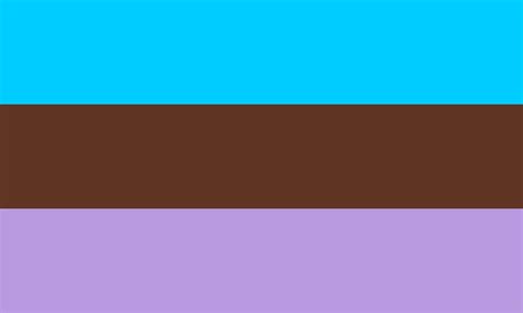 Pride Flag Guide Androsexual Library Lgbt