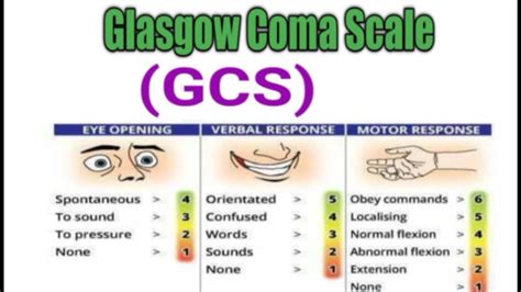 Glasgow Coma Scale Gcs Youtube