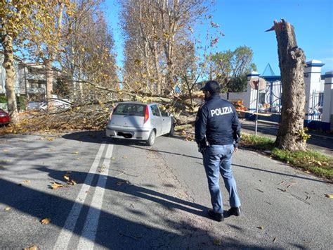 A Ravenna Un Albero Cade Su Un Auto A Causa Del Forte Vento Illese Le