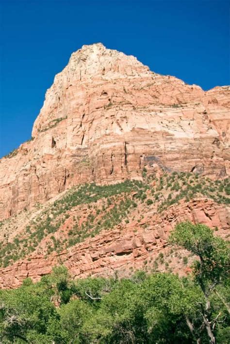 Zion National Park Trails