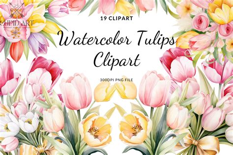 Watercolor Tulips Clipart Bundle Graphic By Cupid Art Creative Fabrica