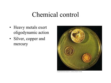 PPT - Control of Microbial Growth PowerPoint Presentation, free ...