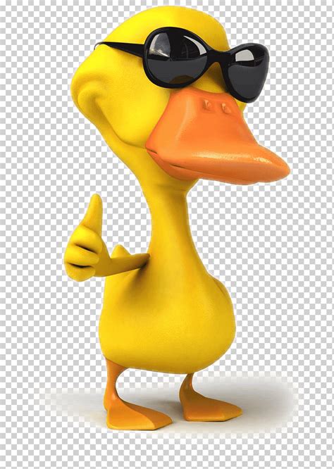 Pato Con Gafas De Sol Ilustraci N Dibujos Animados Pato S Png Clipart