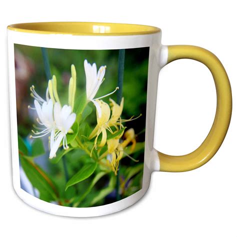 Extraordinarly Delicious Smelling Honeysuckle 11oz Two Tone Yellow Mug