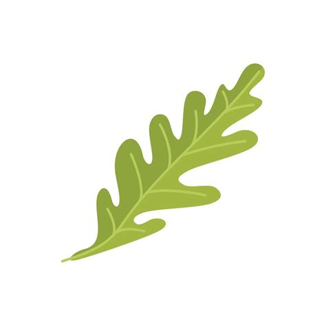 Cooking Arugula Icon Flat Vector Rucola Salad 17336923 Vector Art At