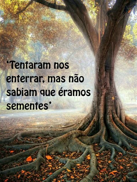 Vida E Sabedoria Mensagem De Luz E Sabedoria Motivatinal Quotes Best