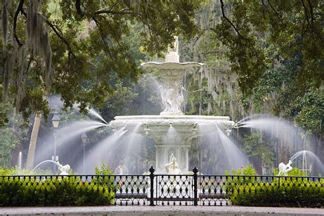 Savannah travel - Lonely Planet