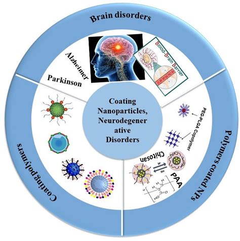 Molecules Free Full Text Management Of Brain Cancer And