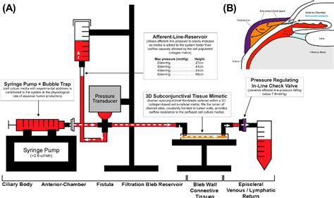 Figure 3 From Development And Verification Of A Novel Three Dimensional