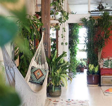 Indoor Jungle So Gesund Lebst Du Mit Pflanzen In Der Wohnung