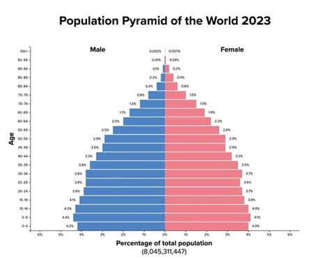 age pyramids human population images stock   objects