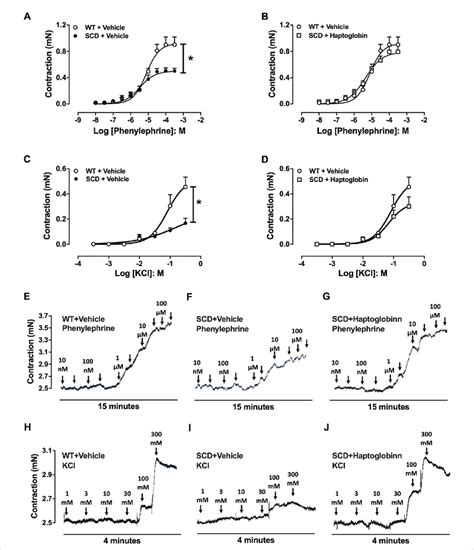 Concentration Response Curves To Phenylephrine A B And Kcl C D In