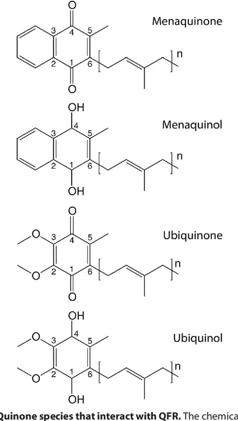 figure   plasticity   quinone binding site   complex ii