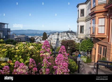 Lombard Street San Francisco California Usa Stock Photo Alamy