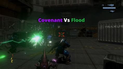 Halo Covenant Vs Flood Brute Perspective Battle Of Voi Youtube