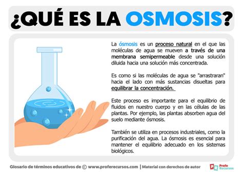 Qué es la Ósmosis Definición de Ósmosis