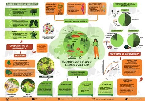 B15 Biodiversity and Conservation | PDF | Biodiversity | Conservation ...