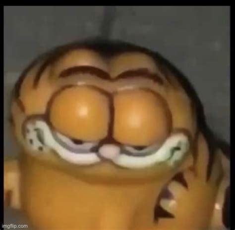 Cursed Garfield Imgflip