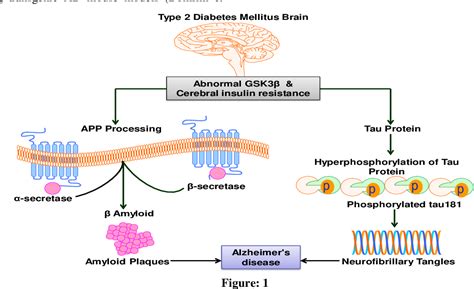 Figure 1 From The Molecular Mechanism Of Insulin Resistant And Glycogen