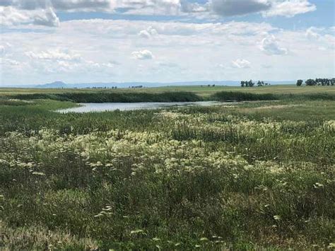 Acres Of Land For Sale In Newell South Dakota Landsearch