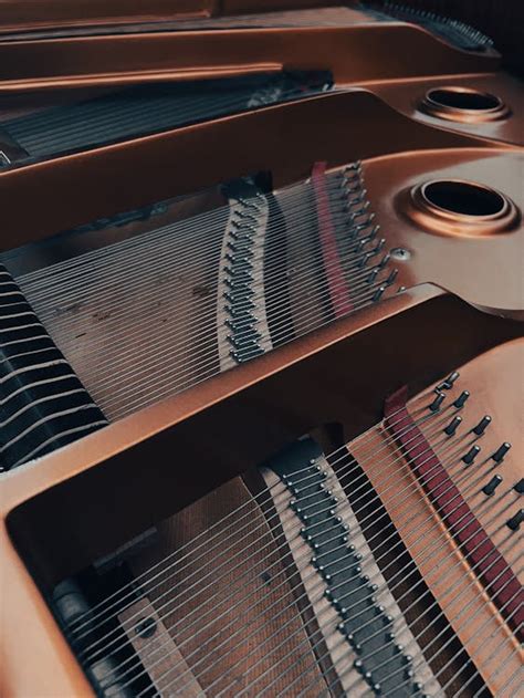 Piano Strings · Free Stock Photo