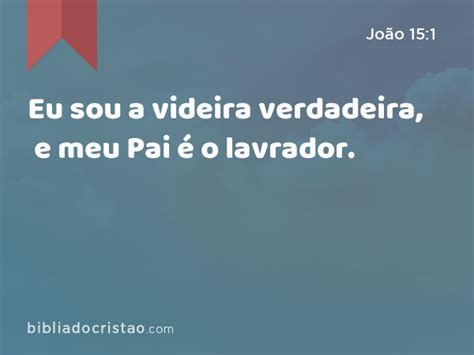 João 15 1 Eu sou a videira verdadeira e meu Pai é o lavrador Bíblia