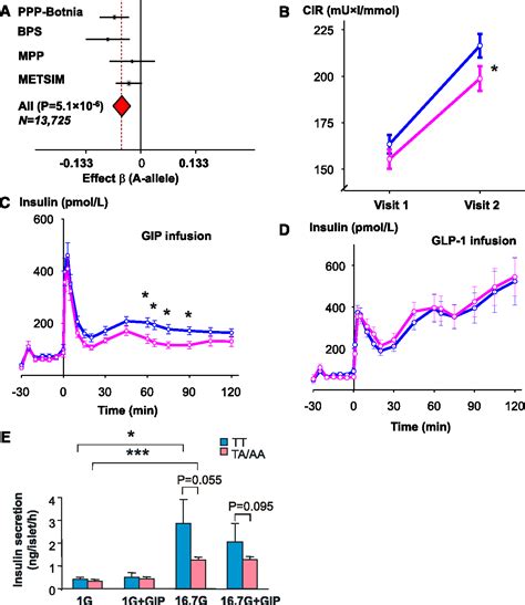 gastric inhibitory polypeptide receptor | Semantic Scholar