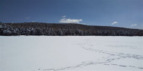 私を雪山に連れてって 北八ヶ岳編 蓼科山・横岳・縞枯山の写真9枚目 一面氷結した池に到着 Yamap ヤマップ