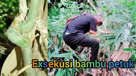 Exsekusi Bambu Petuk Asli YouTube