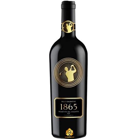 Rượu Vang V10 Primitivo Del Salento Wine Group