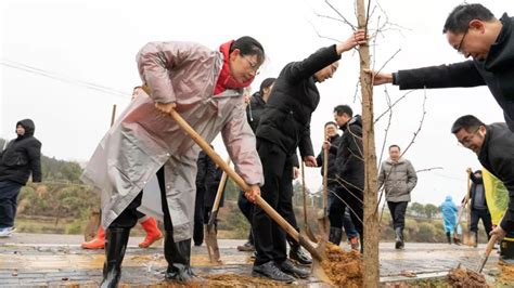 新春上班第一天 义务植树添新绿 关注森林