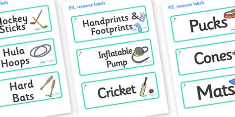 Free Dragonfly Themed Editable Pe Resource Labels