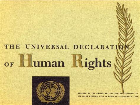 Universal Declaration of Human Rights Poster - Zinn Education Project