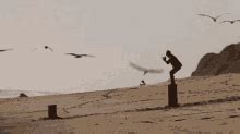 The Crane GIF - The Crane - Discover & Share GIFs