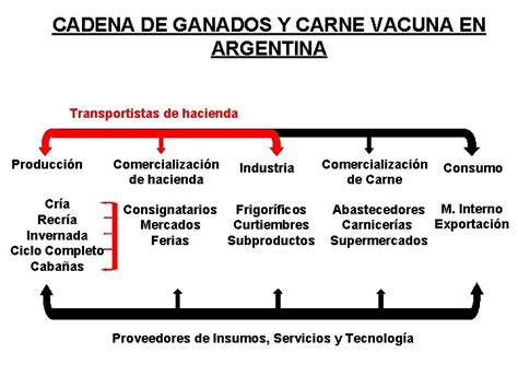 COMERCIALIZACIN DE GANADO VACUNO CADENA DE GANADOS Y