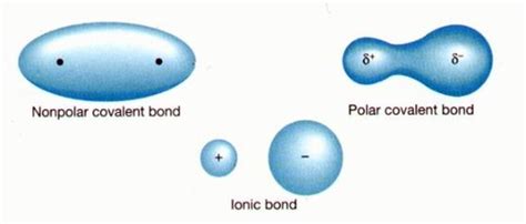 Polar Covalent Bonding