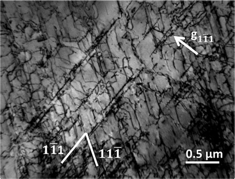 Dislocation structure in the as-received sample. Dislocations lines are ...