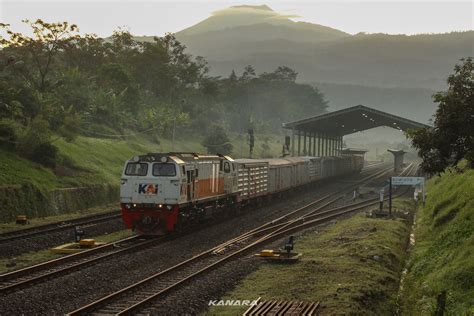 Pupuk Sriwijaya Prucila Kanara Squad Flickr