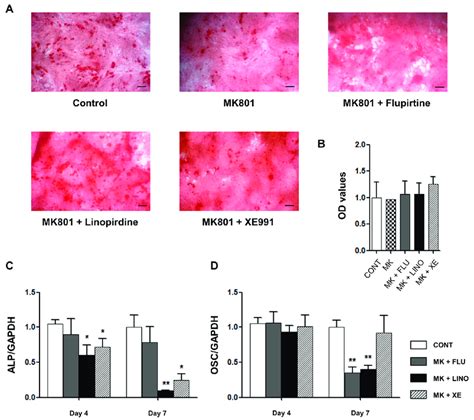 Suppressive Effect Of MK801 An NMDA N Methyl D Aspartate Receptor