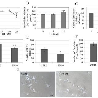 A Human Epidermal Melanocyte Hem Cell Viability In The Presence Of